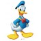 Burt65