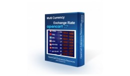 Currency Exchange Rate
