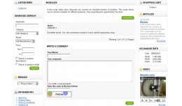 Module Articles