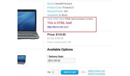 HTML field on product page