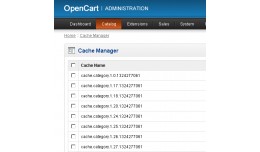 vQMod Cache Manager