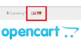 Display Language Flags Only