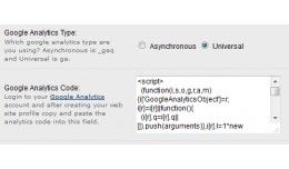 Google eCommerce Tracking