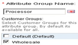 Attribute Group - Customer Group Wise
