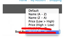 Remove  Sort by Model From Search  ( category )