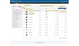 Category Product Management