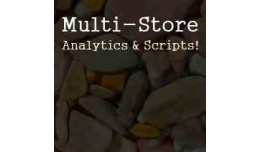 Multistore Analytics & Script Manager