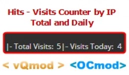 Hits - Visits Counter by IP - Total and Daily
