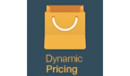 Dynamic Pricing