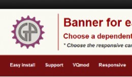 Banner for category