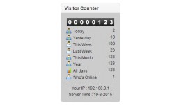 Visitor Counter