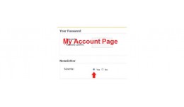 Account Register Newsletter Yes by default VQMOD
