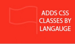 Add Language Class