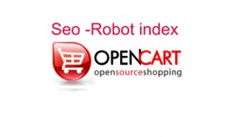 Seo Robot index for product
