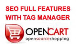 Seo full features with tag manager