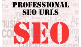  [NEW] Professional SEO URLs (from Opencart SEO..