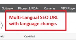 Multilingual SEO Frieldly URLs for All Pages