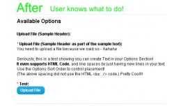 Options Headers and Text