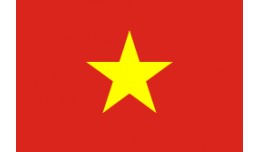 Vietnamese-1.5.4.1