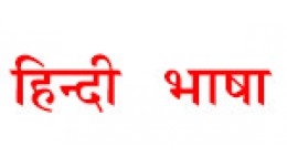 Hindi Language Pack - Frontend