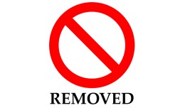 Remove picture and description from Category