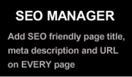 SEO Manager (Page title and meta description edi..