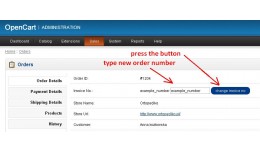 Custom invoice number