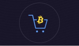 Bitcoin Payment Gateway 1.5V
