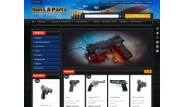 a Gun Shop 2