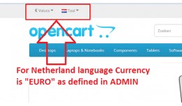 Language based currency change automatically