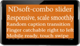NDsoft Combo Slider