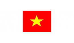 Việt nam language