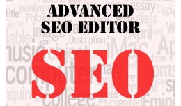 Advanced SEO Editor (from Opencart SEO Pack PRO)