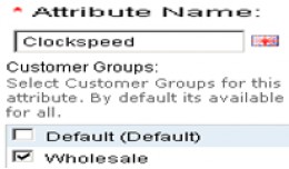 Attribute - Customer Group Wise