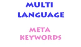 Multi Language Meta Description
