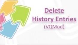 Delete history entries