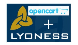 Lyoness bridge / connector
