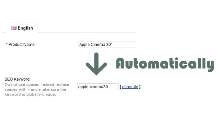 SEO Slug - Automatically - Auto fill SEO keyword for SEO url