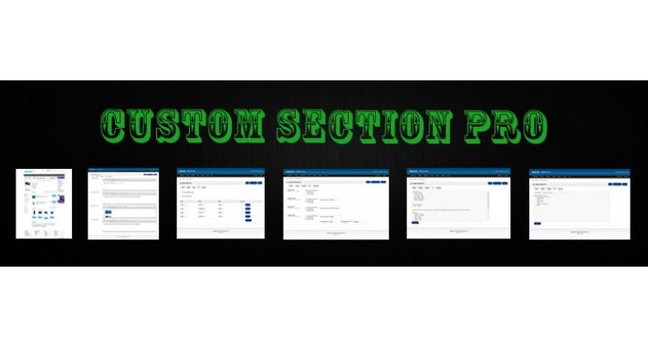 Custom Section Pro