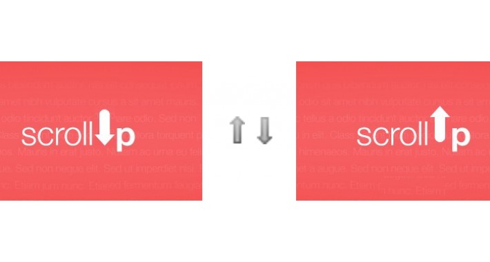 OpenCart - Scroll UP and DOWN