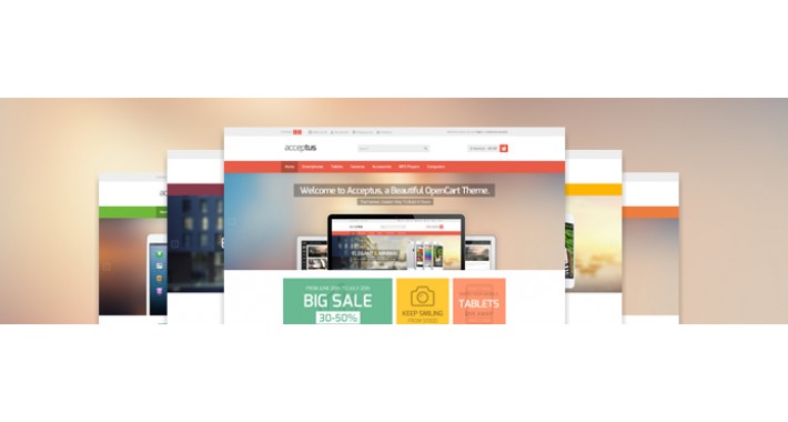 Acceptus – Responsive Theme For Mobile Store Owner