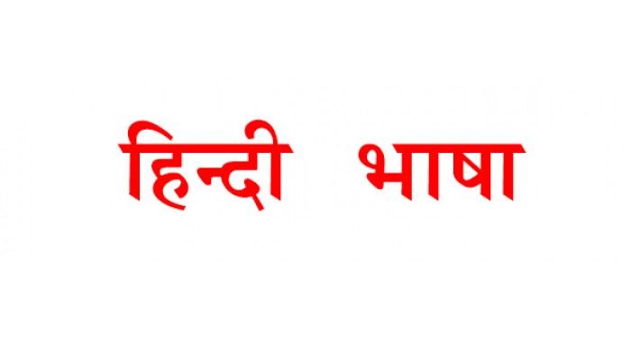 Hindi Language Pack - Frontend