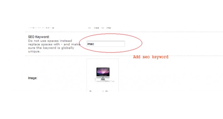 SEO Url show .html