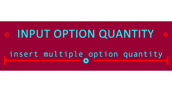 Option Input Quantity(1.5.x-2.3)