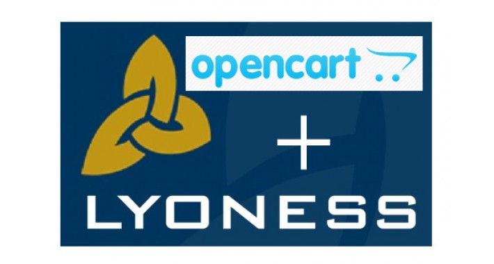 Lyoness bridge / connector