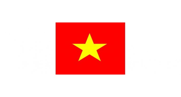 Việt nam language