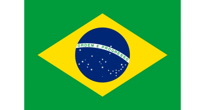 Tradução Português Brasil (Todas Versões)