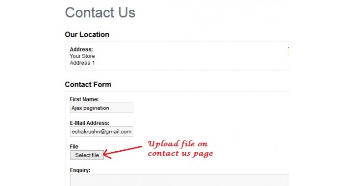 Contact Page File Upload