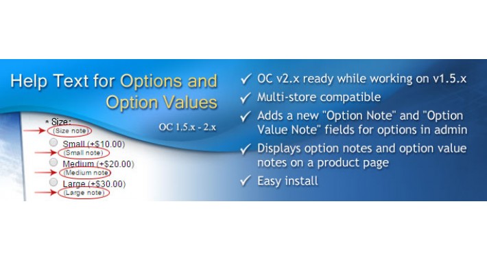 Option Notes