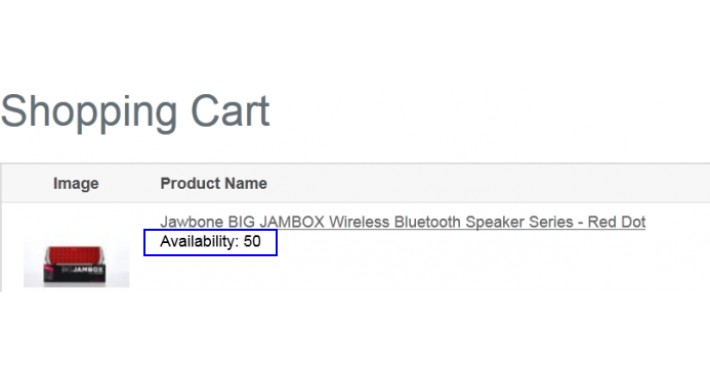Stock availability in shopping cart